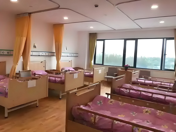 应届毕业生想入户深圳怎么办_53岁朱茵住山里开破车？ 住山里开破可以采取措施以下