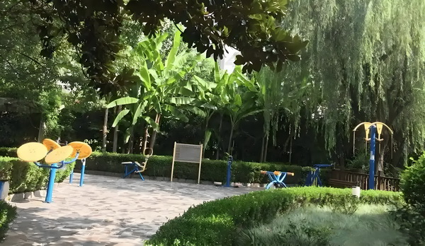 应届留学生落户_舒淇导演首作入围威尼斯主竞赛单元，黄渤《浪浪人生》定档12月 立性了差远法官的独